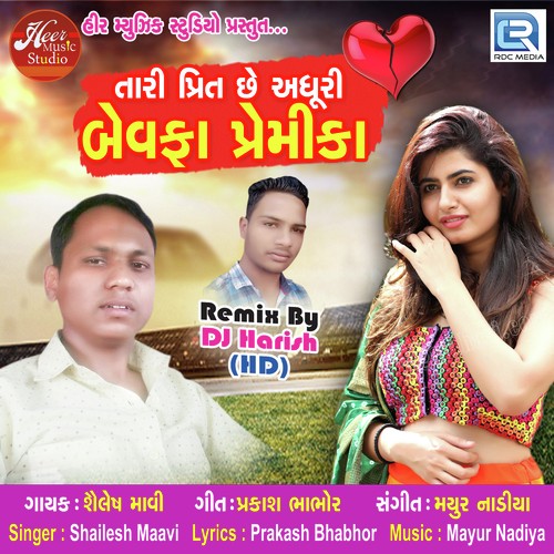 Shailesh Mavi Songs MP3 Download